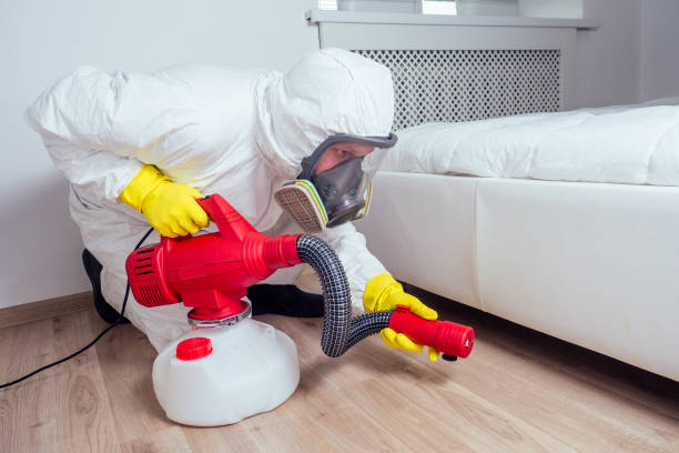 Best Fumigation Services  in Nokesville, VA